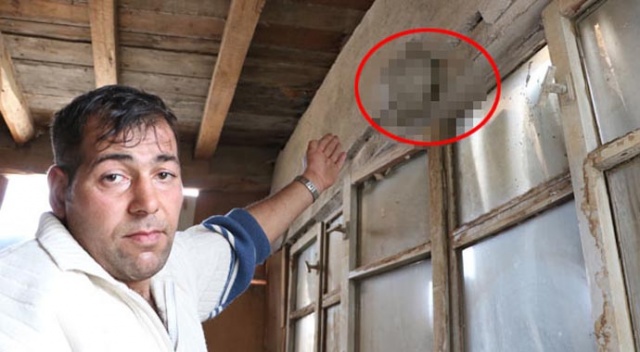 İş yerinde gelen sesleri takip etti, gördüğüne inanamadı İş yerinde gelen sesleri takip etti, gördüğüne inanamadı