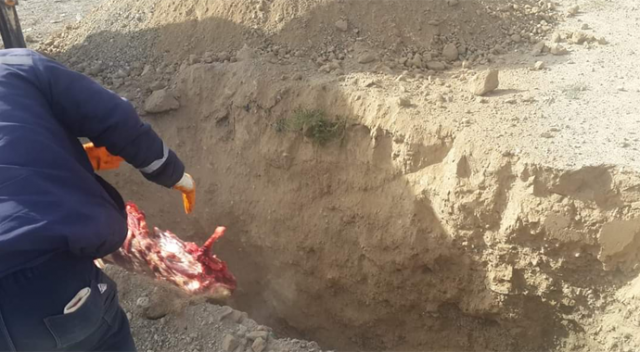 Kayseri&#039;de 400 kilo kaçak ete el konuldu