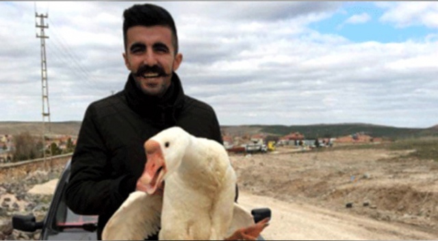 Kaz çiftliği kurdu, şimdi paraya para demiyor Kaz çiftliği kurdu, şimdi paraya para demiyor