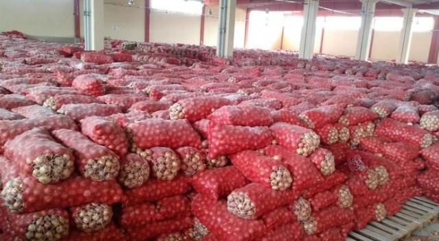 Ankara'da 1300 ton kuru soğan depoda bulundu Ankara'da 1300 ton kuru soğan depoda bulundu