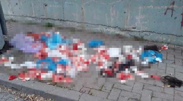 Çöp poşeti yırtıldı, görenler şoka girdi