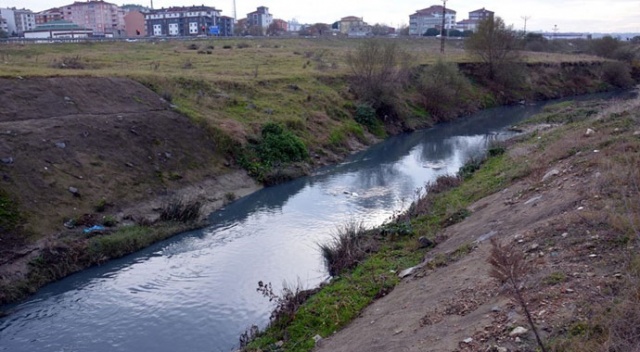 Çorlu Deresi, kirlilikten griye boyandı Çorlu Deresi, kirlilikten griye boyandı