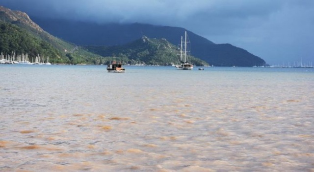 Marmaris'te denizin rengi değişti Marmaris'te denizin rengi değişti