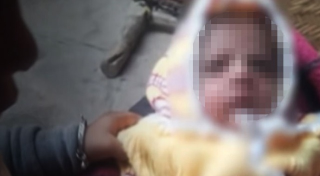 Maymun yeni doğmuş bir bebeği kaçırdı ve öldürdü Maymun yeni doğmuş bir bebeği kaçırdı ve öldürdü