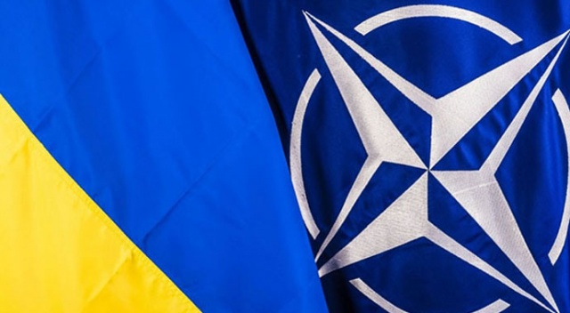NATO'nun 29 müttefikinden Ukrayna'ya destek NATO'nun 29 müttefikinden Ukrayna'ya destek