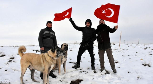 &#039;Kurtlar İtalya&#039;ya ele geçirdi, çare Kangallar&#039;