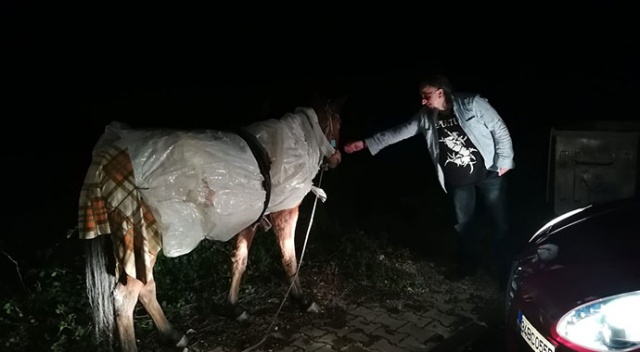 Atı donmasın diye naylonla sardılar