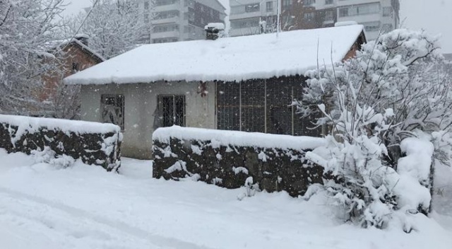 Bitlis&#039;te 139 köy yolu ulaşıma kapandı