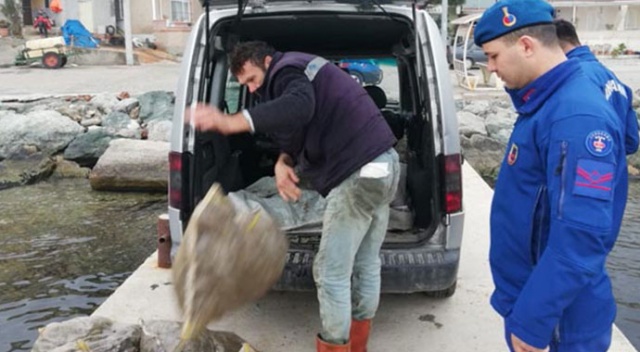 Bursa'da dev operasyon! 1.5 ton kaçak midye ele geçirildi Bursa'da dev operasyon! 1.5 ton kaçak midye ele geçirildi