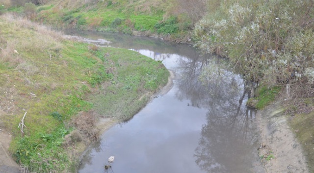 Çorlu Deresi'ni griye boyayan firmalara ceza yağdı