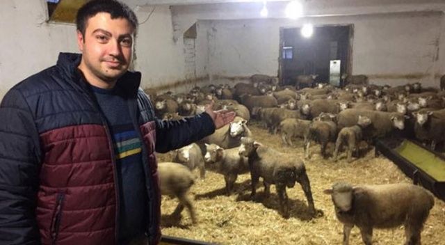 Herkes onların peşinde! Kuzuların tanesi 2 bin 500 lira