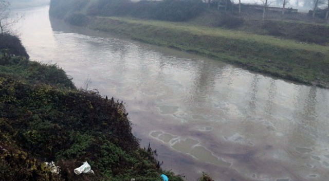 İstanbul'un içme suyu kaynağı Melen Nehri'nde büyük tehlike İstanbul'un içme suyu kaynağı Melen Nehri'nde büyük tehlike