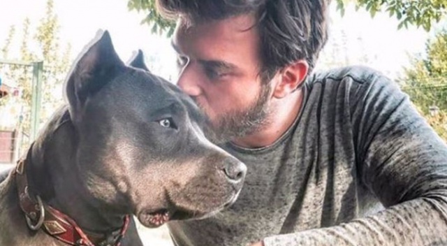 Kıvanç Tatlıtuğ köpeğinin kulağını kestiği iddialarına ateş püskürdü Kıvanç Tatlıtuğ köpeğinin kulağını kestiği iddialarına ateş püskürdü