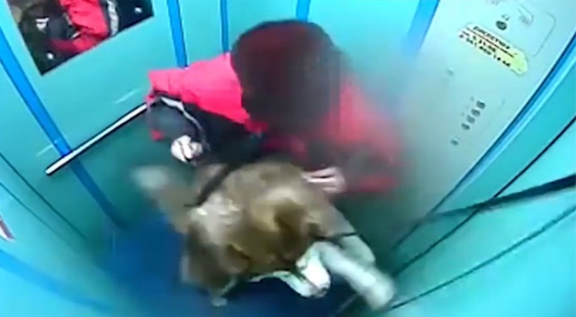 Sahibinin dikkatsizliği az daha canından ediyordu
