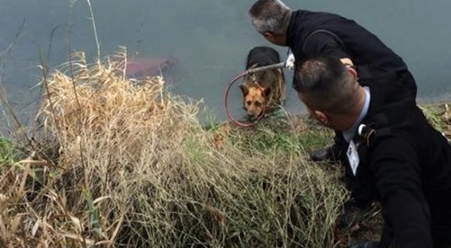 Su kanala düşen köpek kurtarıldı Su kanala düşen köpek kurtarıldı