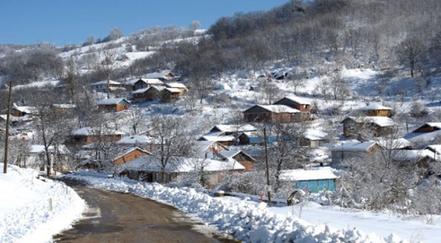 32 hane ve 93 seçmenli köyde 6 muhtar adayı çıktı, köylünün kafası karıştı