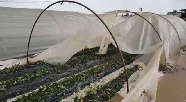 Antalya’da dolu yağışı seraları vurdu