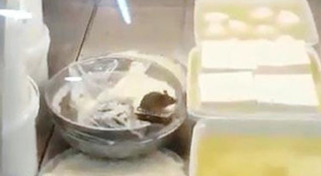 Fare marketin şarküteri reyonunda peynir yerken görüldü! Fare marketin şarküteri reyonunda peynir yerken görüldü!