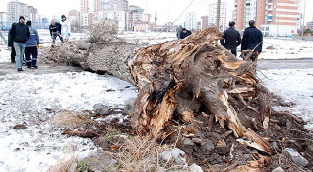 Fırtına dehşeti! Acı haber bu kez Kayseri&#039;den geldi