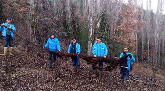 Gören şaşkına döndü! Su borusunun içinden çıktı tam 8 metre...