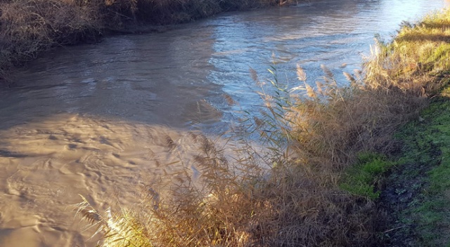 JAK timi Büyük Menderes Nehri’ne düşen şahsı arıyor JAK timi Büyük Menderes Nehri’ne düşen şahsı arıyor
