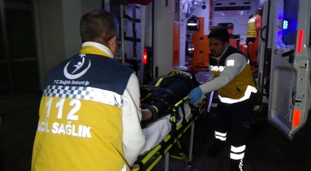 Kedisi için canından oluyordu