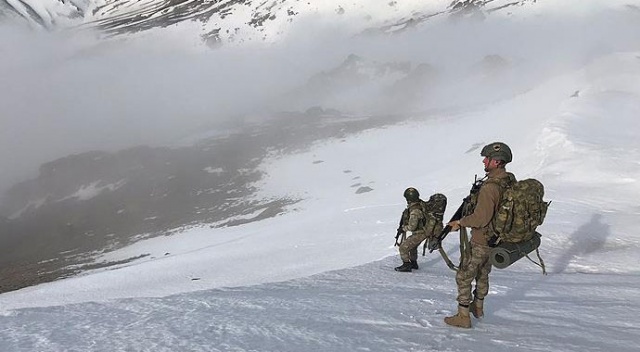 Mehmetçik'ten Ağrı'da teröristlere darbe Mehmetçik'ten Ağrı'da teröristlere darbe