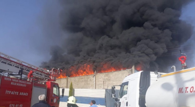 Mersin&#039;de çakmak fabrikasında yangın