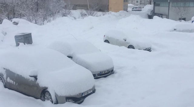 Bingöl'ün Karlıova ilçesinde 45 gündür kar etkili oluyor
