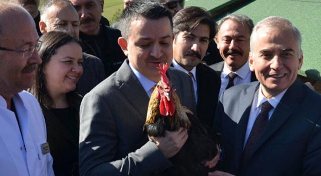 Bakan açıkladı! Artık satılmayacak...