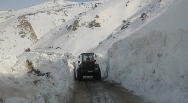 Çığın kapatığı mezra yolu ulaşıma açıldı