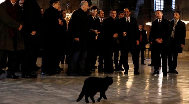 Çipras'tan Ayasofya’ya ziyaret Çipras'tan Ayasofya’ya ziyaret