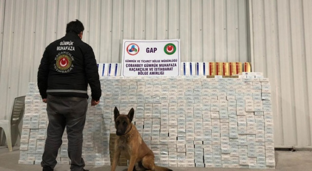Çobanbey Sınır Kapısı'nda 30 bin paket sigara ele geçirildi Çobanbey Sınır Kapısı'nda 30 bin paket sigara ele geçirildi
