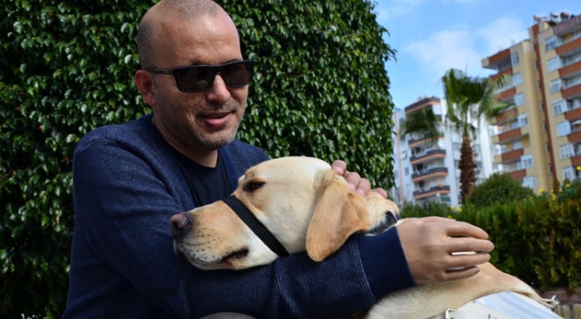 Görme engelli gazinin hayatını ''Bobby'' değiştirdi Görme engelli gazinin hayatını ''Bobby'' değiştirdi