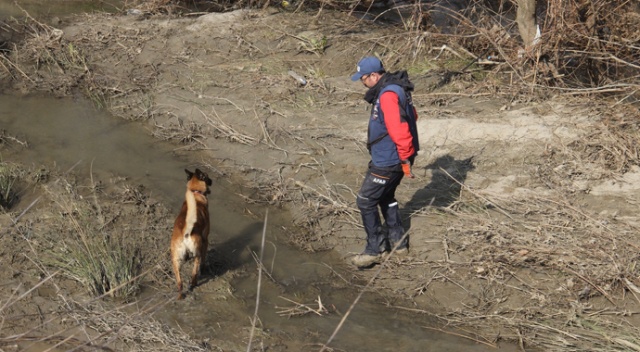 Kayıp genci arama çalışmaları için özel köpek getirildi Kayıp genci arama çalışmaları için özel köpek getirildi