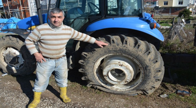 Mutlu şehirde şoke eden olay Mutlu şehirde şoke eden olay