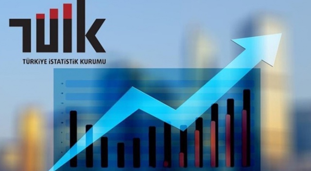 TÜİK katı yakıt istatistiklerini açıkladı