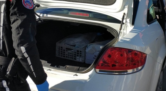 Yunus ekipleri asayiş uygulaması yaptı