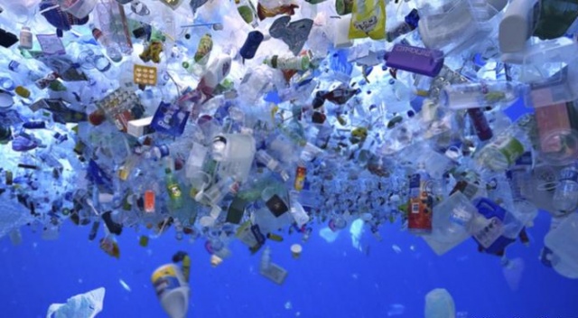 AP tek kullanımlık plastik ürünleri yasakladı