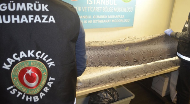 Atatürk Havalimanı'nda 'yılan derisi' operasyonu Atatürk Havalimanı'nda 'yılan derisi' operasyonu
