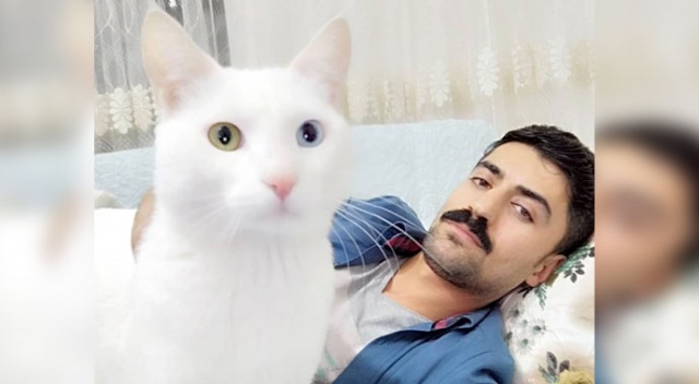 Beşinci kattan düşen kedisi için 190 bin lira harcadı Beşinci kattan düşen kedisi için 190 bin lira harcadı