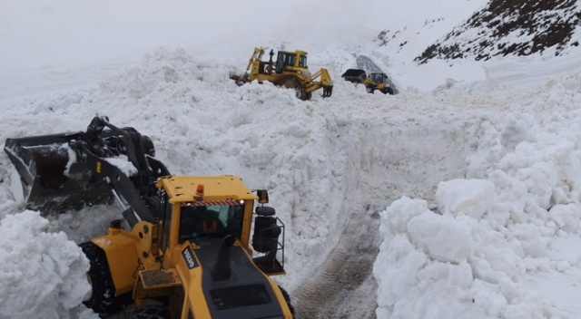 Çığ ve heyelan, Hakkari-Şırnak karayolunu kapattı
