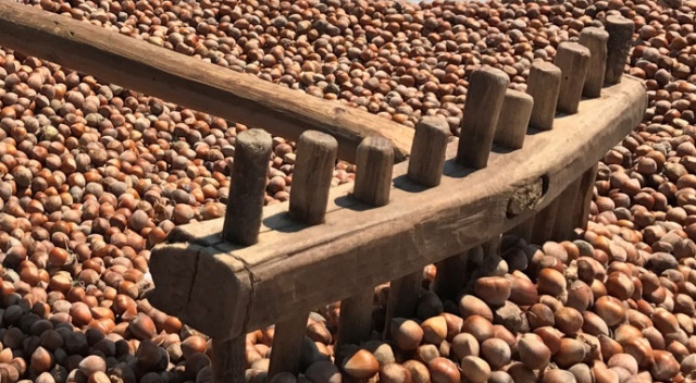 İtalya’dan fındık oyunu