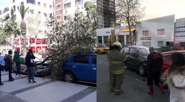 İzmir’de şiddetli fırtına: Çatılar uçtu, ağaçlar devrildi İzmir’de şiddetli fırtına: Çatılar uçtu, ağaçlar devrildi