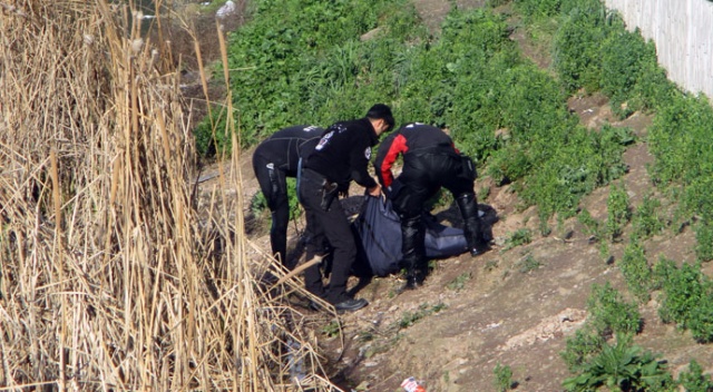 Maltepe'deki gölette kadın cesedi bulundu Maltepe'deki gölette kadın cesedi bulundu