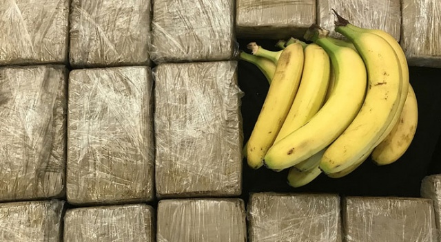 Muz konteynerinde 185 kilogram kokain ele geçirildi