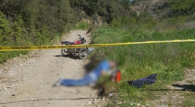 Ot toplamaya gitti, yol kenarında cesedi bulundu Ot toplamaya gitti, yol kenarında cesedi bulundu