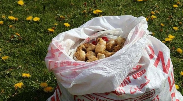 6 kilosuna rekor ceza kesilmişti, şimdi de 25 kilo ele geçirildi