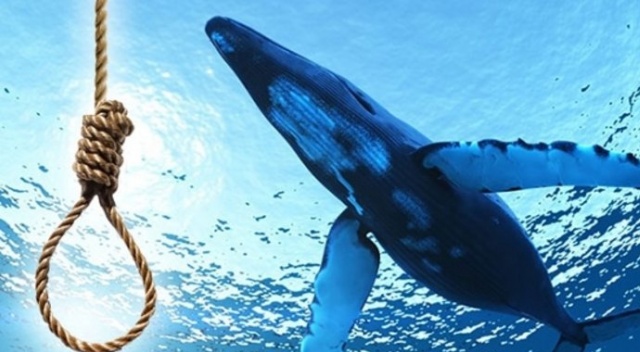 Mavi Balina oyunu sonrası intihar eden gencin ölümünde detaylar ortaya çıktı Mavi Balina oyunu sonrası intihar eden gencin ölümünde detaylar ortaya çıktı