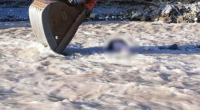 Asma köprüden dereye düştü!